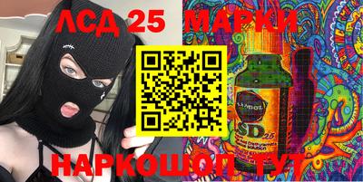 apvp Можга
