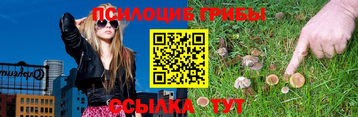 Чита  Псилоцибиновые грибы Magic Shrooms  Вход с VPN 